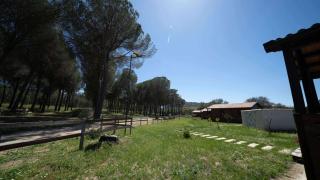 RaMi Rural Resort con piscina e vicino al mare - San Cono - 1