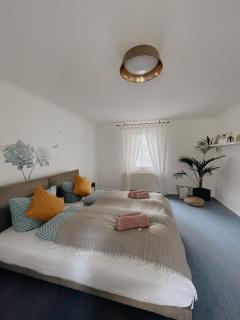 Ludwigslust Vogtland de - Ideal für Naturliebhaber & Fellnasen - 7