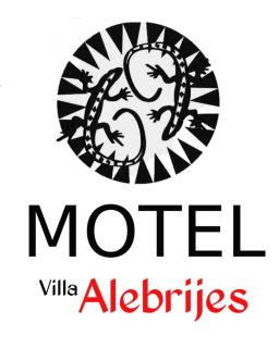 Villa Alebrijes - Ciudad Hidalgo - 0