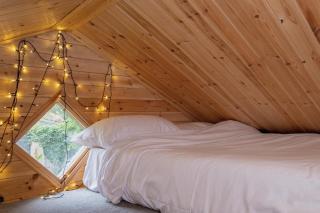 Host & Stay - The Eco Cabin - 2