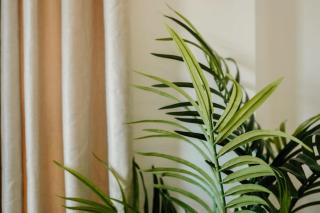 Grange Road Studio 4 - 1