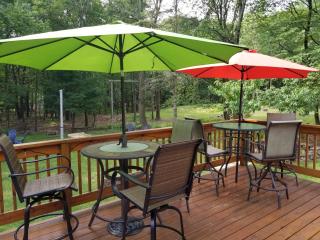 Serenity and Fun all in one in this Cozy Pocono Cabin - Jim Thorpe - 0