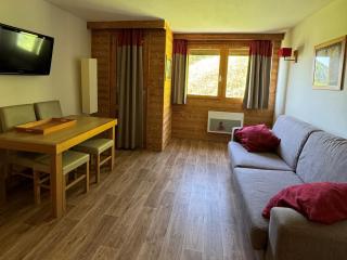 Studio ski aux pieds avec piscine chauffée, WiFi et animaux admis - FR-1-181-2822 - La Plagne Tarentaise - 0
