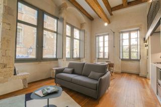 Duplex lumineux et authentique, Vieux-Lyon - Lyon - 7