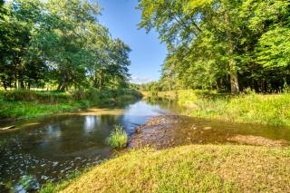 Scenic Log Cabin with Fire Pit and Stocked Creek! - 7