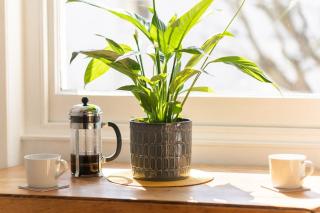 Host & Stay - Alexandra Villas - Brighton & Hove - 8