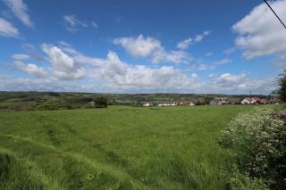 Cosy 1-bedroom cottage next to Combe Lodge Venue - 8