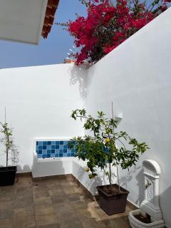 Acogedor bungalow con vistas - Puerto de la Cruz - 3