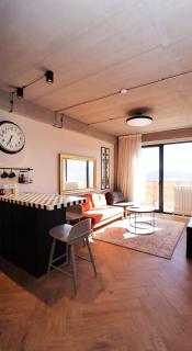 1BR Apartment in Twins Gudauri project - Goedaoeri - 2