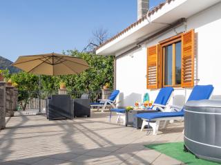Giardino di Nonno Lucio - Surrounded by Lemon Tree - 1
