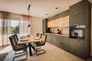 villa carpe diem - Čepljani - 7