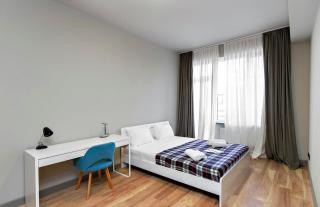 Stylish newly renovated 1 BR Apt on the modern Abashidze street - Tbilisi - 2
