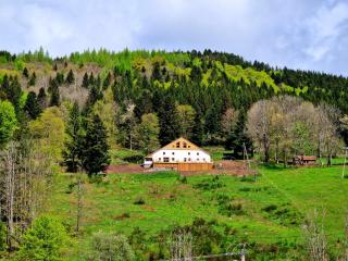 Gîte du Mont d'Air 4 étoiles, au cœur du massif vosgien, bain nordique - Ventron - 6