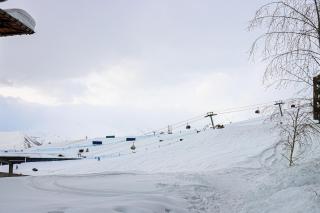Charming Ski In Out Apartment- Managed By Wehost - Gudauri - 8
