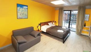 Super Stylish Ski In Out Apartment In New Gudauri - Goedaoeri - 7