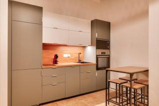 2BR flat near Louis Pradel metro station - Lyon - 5