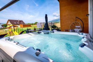 TATRYSTAY Cactus Premium Villa High Tatras private Wellness - Stará Lesná - 5