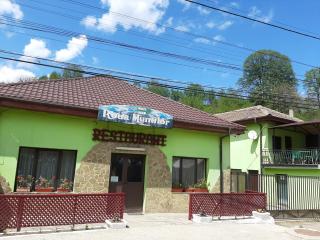 Hotel Roua Muntilor - Nehoiu - 8