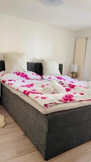 Cresta Apartment - St. Gallen - 1