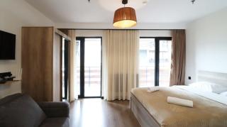 Bright Studio Apartment in Marshall Gudauri - 7