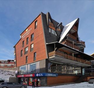 Stylish 1BR Apartment In Marshall Project - Gudauri - 1