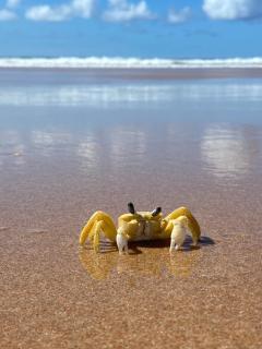 Paraíso em Guarajuba - 5