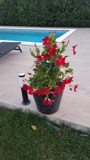 Villa Marina - Biograd na Moru - 3