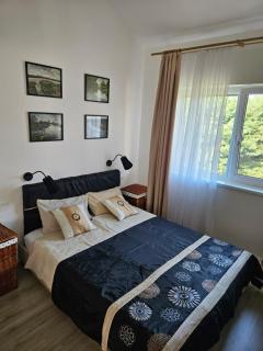Vila DRAGONFLY - Šventoji - 7