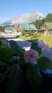 Montenegro High Mountain Apartment - Žabljak - 8