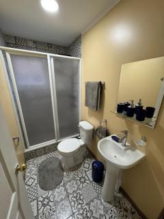 cabaña grande central en Osorno en parcela 1 - 1