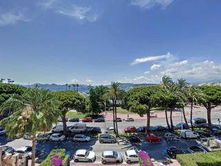 Luxurious Apartment Sea View Terrace La Croisette - 6