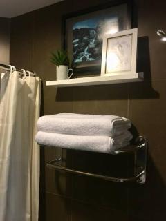 JV Maximum Dwelling Experience in Central BGC - Manila - 9