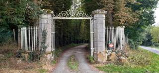Gîte de l'Orangerie, 15 personnes, 7 ch, 275 m² - Saint-Gervais-la-Forêt - 6
