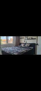 Garden, Jacuzzi, bbq, city centre, 2 bedrooms - Alkmaar - 6
