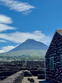 Pico Island Villas - Madalena - 5