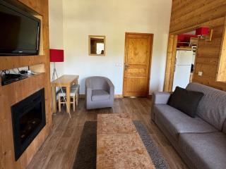 Appartement 3P, piscine chauffée, animaux admis, pieds des pistes - FR-1-181-2819 - 0
