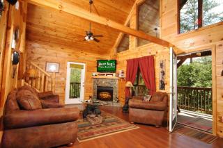 A Bear's Eye View #251 - Sevierville - 2