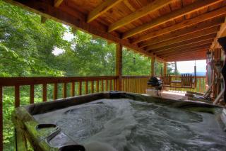 Apple Bear View #116 - Sevierville - 8
