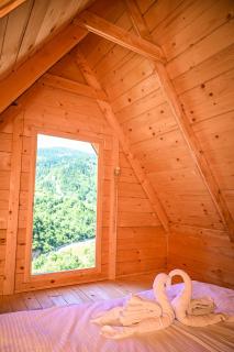 Domaćinstvo Pešića - - 2
