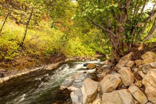 Elegant Three Suite Condo Steps to Warm Springs Lodge - Ketchum - 6