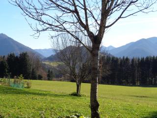 Vordergschwandtgut - Faistenau - 3