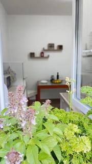 Apartman Lingo - 1