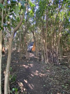 Forest Glam - San Andrés de Giles - 1