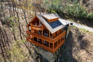 Emerald City Lights #203 - Gatlinburg - 4
