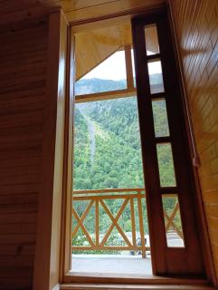 Green Wood In Ifari - - 7