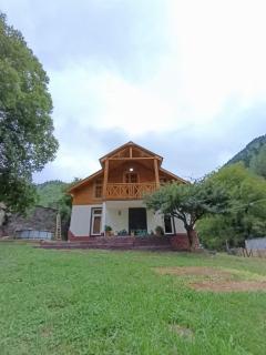 Green Wood In Ifari - 9