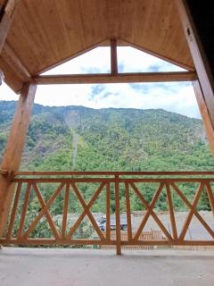 Green Wood In Ifari - - 3