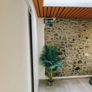 City center room with private external bathroom - Zurigo - 6