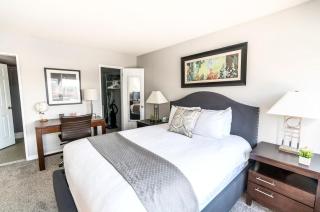 Spacious Apt Downtown - BIL-1607 - Stamford - 4
