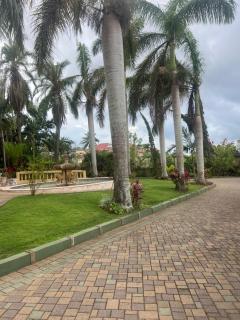 Hidden oasis - 8